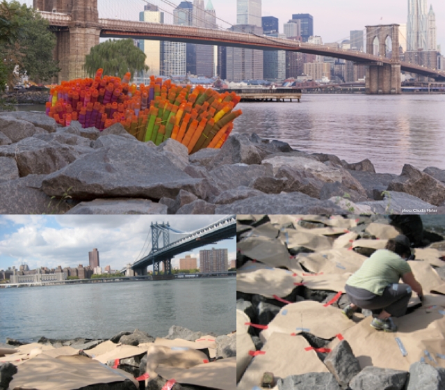 PILLOW Pageant, A.I.R. Gallery – AfterShock: Marine Life Emergency Pillow